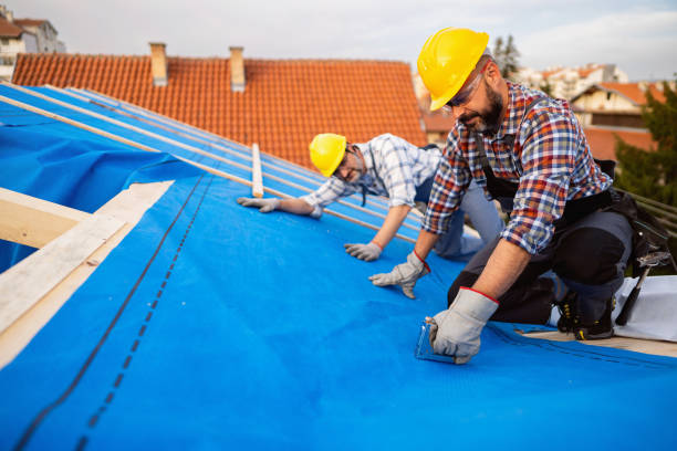 Best Metal Roofing Contractor  in Myrtle Grove, FL