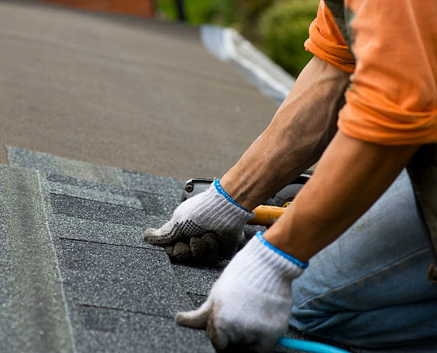 Best Roof Gutter Cleaning  in Myrtle Grove, FL